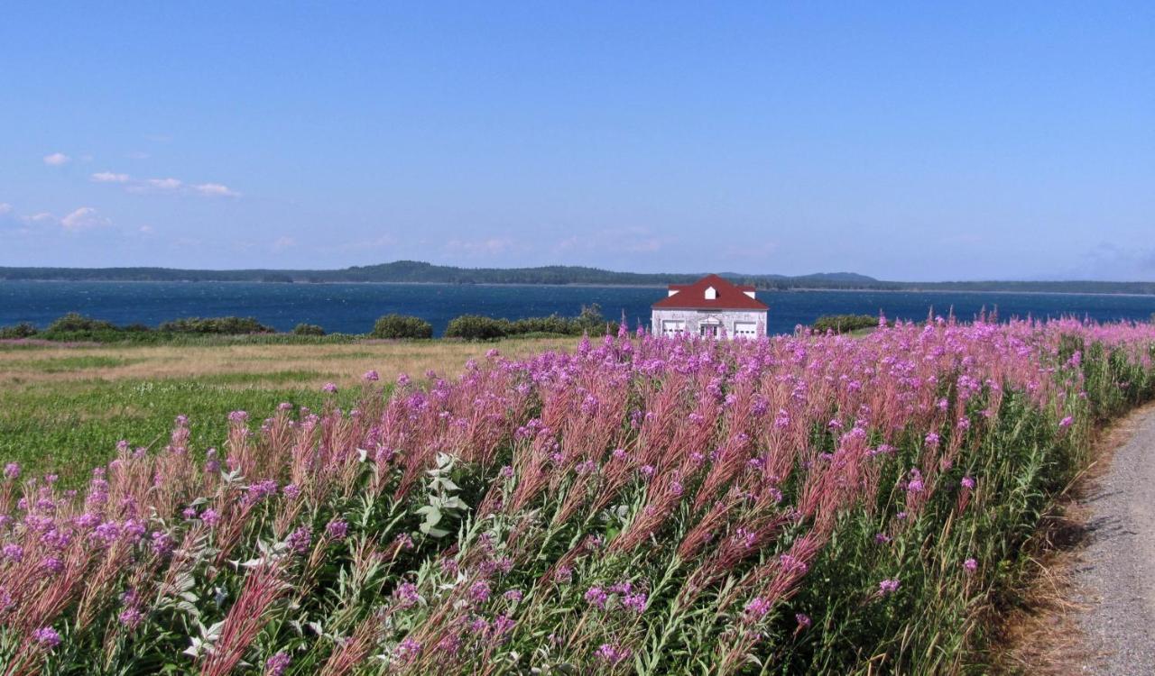Hotel West Quoddy Station Llc Lubec Exterior foto